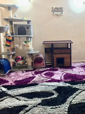 Shaggy rugs used in two colors 200x250 and 170x240