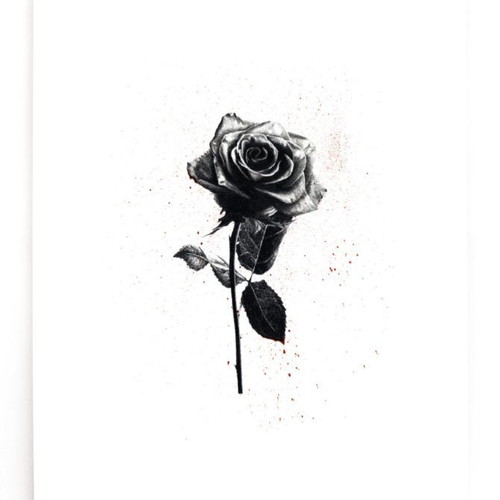 Dylan Rieder What Youth Magazine new, English