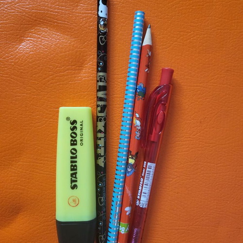 Dog Pencil Case with 20 Pencils, Pens, and Drawing Pad New