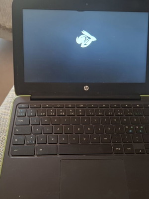 HP Chromebook 11.6" with 4GB RAM and 16GB storage