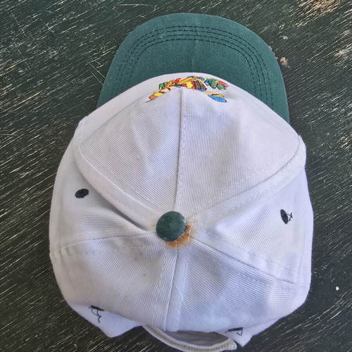 Children's hat with Have Fun print, white and green