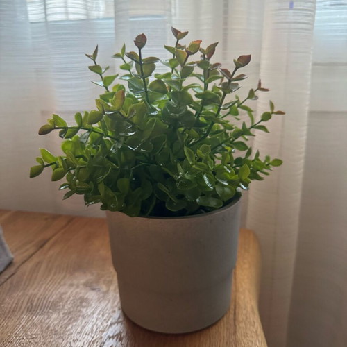 Plastic plant with pot like new