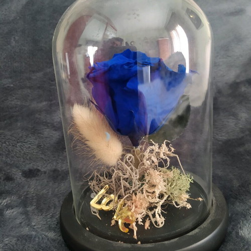 Natural rose used in glass dome