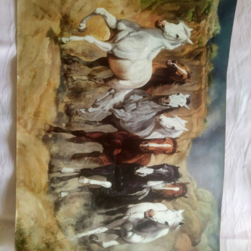 Canvas painting Herd of Horses in Freedom by S. Santos used