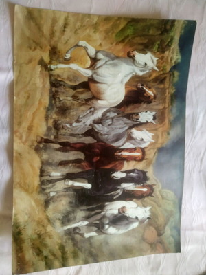 Canvas painting Herd of Horses in Freedom by S. Santos used