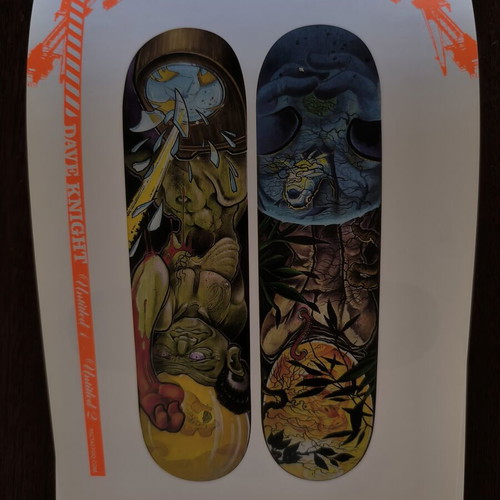 Street Camp Skateboard Art Catalog 2006 like new