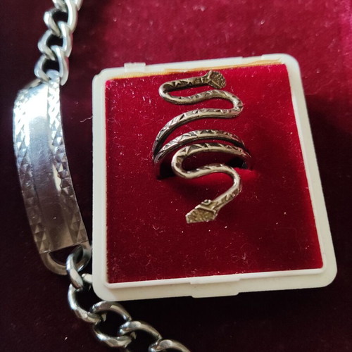 Snake ring and gift identity silver, new