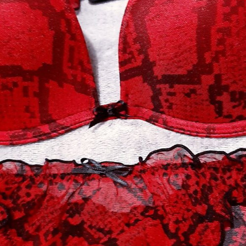 Zara sexy lingerie set 80B bra and M panties, new, animal prints red black
