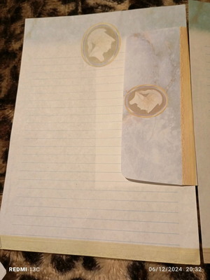 Correspondence used, 1 folder with sheet set