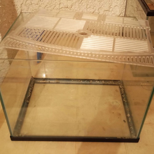 17-liter nano aquarium with extra safety cover