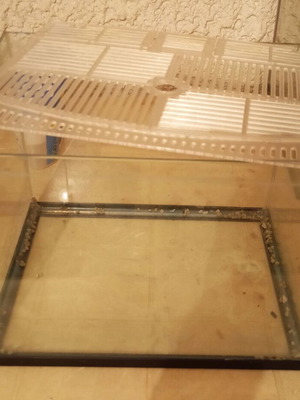 17-liter nano aquarium with extra safety cover