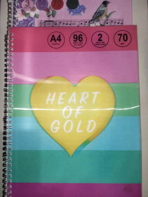 3D Spiral Notebooks new, pack of 2