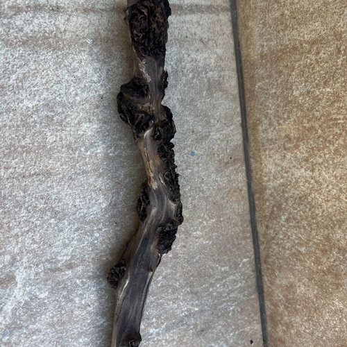 Aquarium driftwood used natural decoration for aquascape