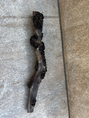 Aquarium driftwood used natural decoration for aquascape