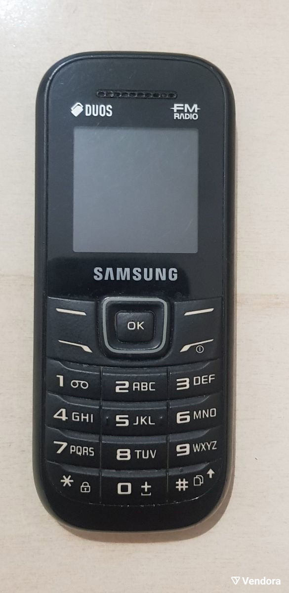 SamsungGuruE1207Y