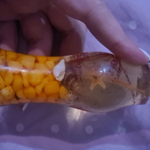 Candle new