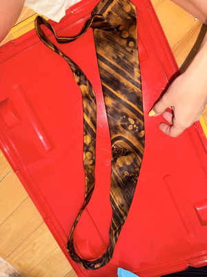 Tie, brown