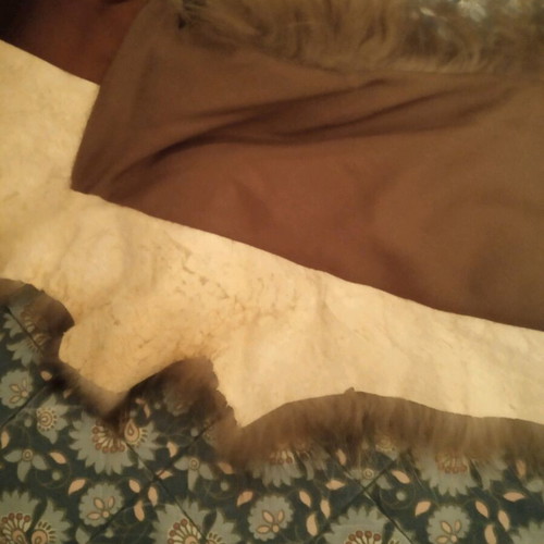 Fur collar used, etol with satin ribbon