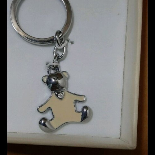 Keychain and pen set new