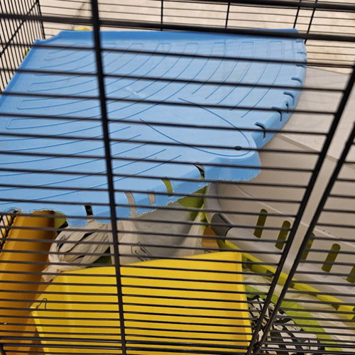Cage for chinchillas, rabbits and hamsters used