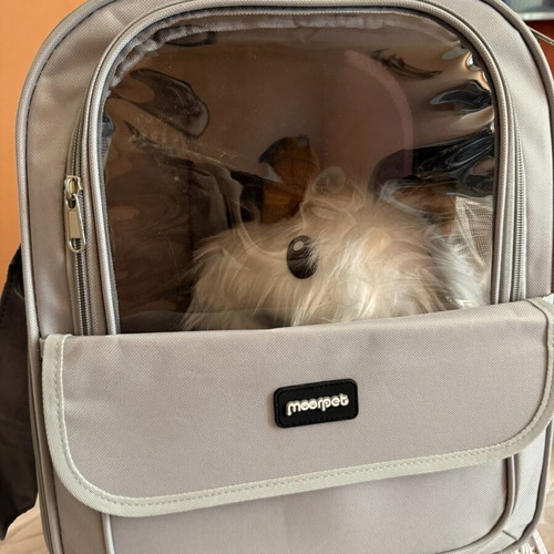 Morpet Pet Carrier Bag with Transparent Window, Grey