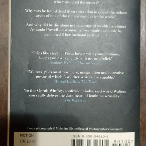 The Echo by Minette Walters used book in English