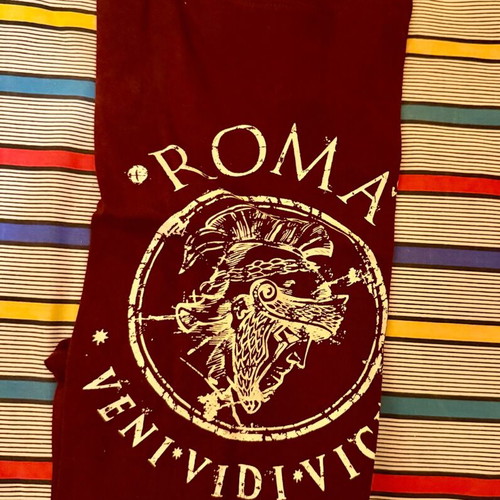 Roma Kids T-shirt size 12 years like new, burgundy with graphic print