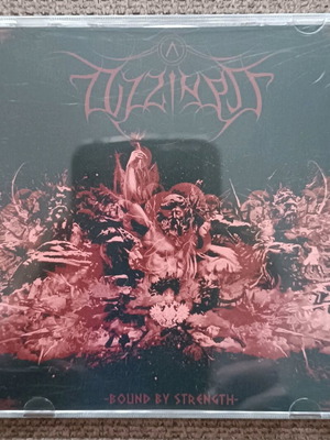 Dizziness Bound by Strength CD in almost like new condition, metal