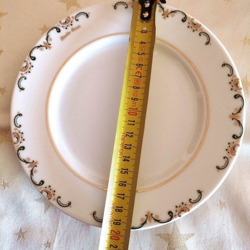 Vintage Fine Bohemian Porcelain pasta serving set like new