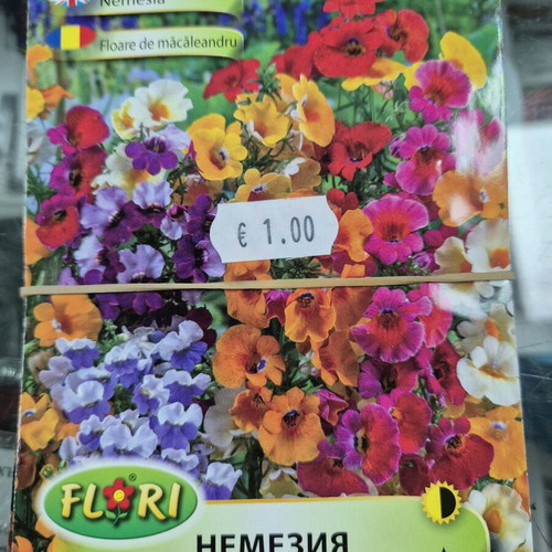 Petunia new seeds with great variety
