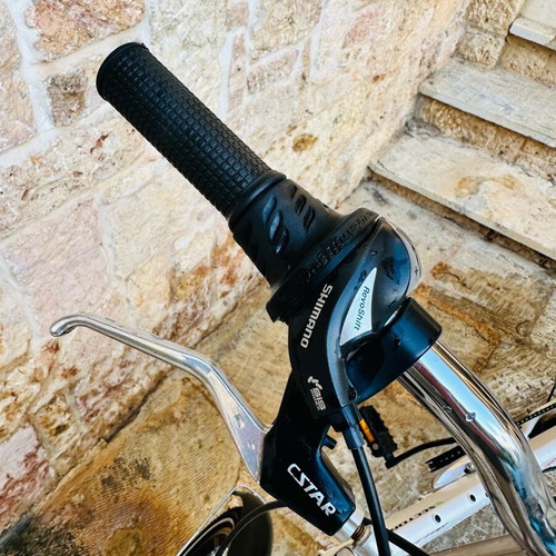 SECTOR FUSION CTB 20” ALUMINUM FOLDING BIKE