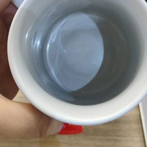 Taz mug used with interior cracks