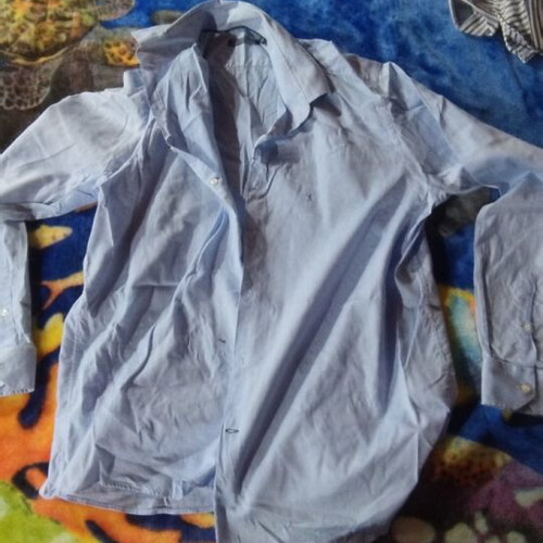 the Bostonias men's shirt