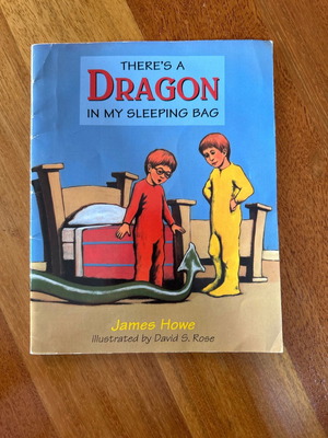 Theres a dragon in my sleeping bag παιδικό βιβλίο στα αγγλικά σε άριστη κατάσταση