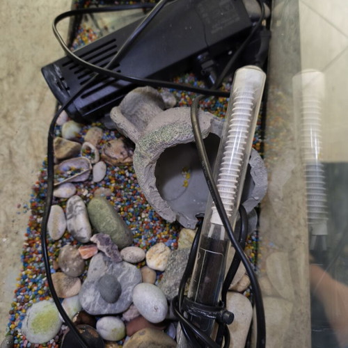 Fish aquarium, 41x20x26 cm
