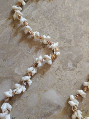 Necklace with shells like new, beige