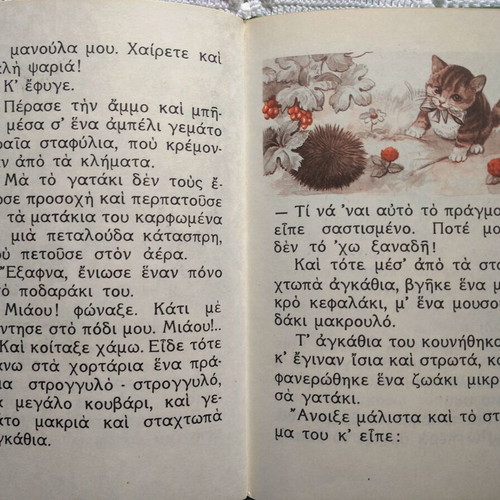 O Paixnidiaris Gyrizei Ton Kosmo children's book like new, Greek