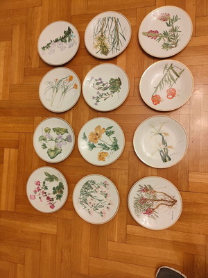 Niki Goulandris Collectible Plates Wildflowers of Greece Haviland Limoges like new, set of 12
