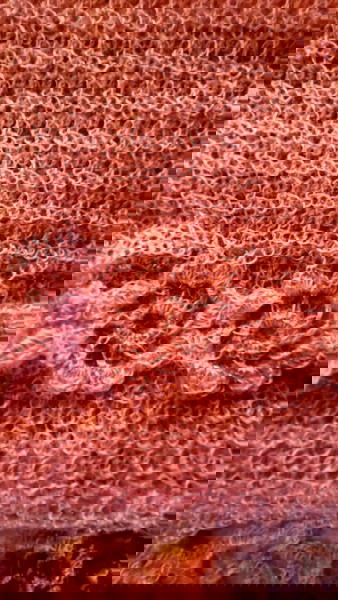 kaskol roz chiropiito mallino 140x35