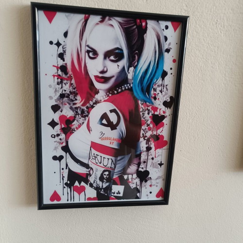Harley Quinn decorative framed print like new