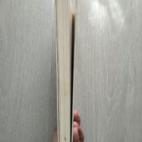 Against the Wind used book by Nordtrundt Bogge-Erli