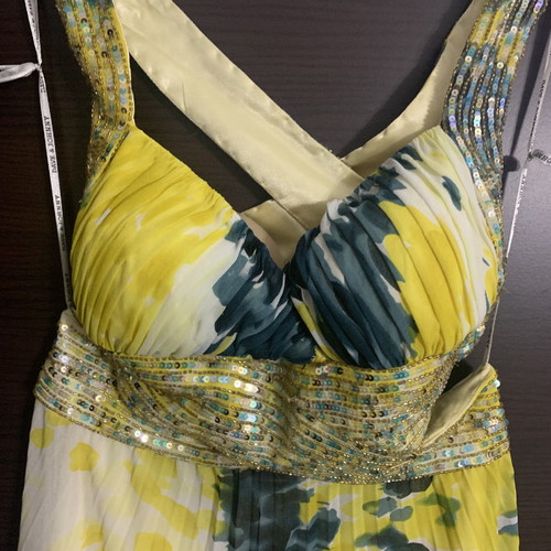 Maxi dress DAVE&JOHNNY new with open back and chest support