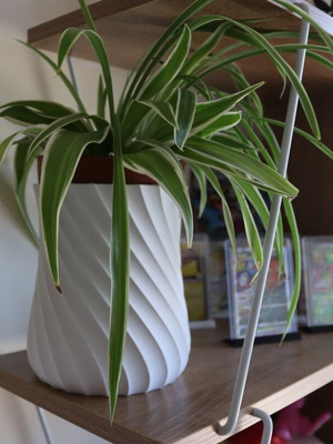 3D Printed Flowerpot Eco-Friendly, 20cm Adjustable Size