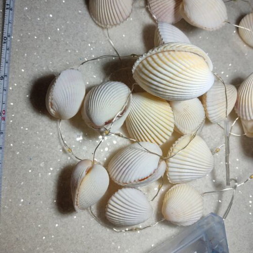 Shell lighting garland handmade, 2 meters