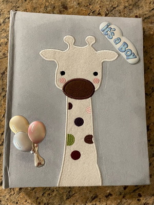 Princelino children's photo album like new with silver balloon design