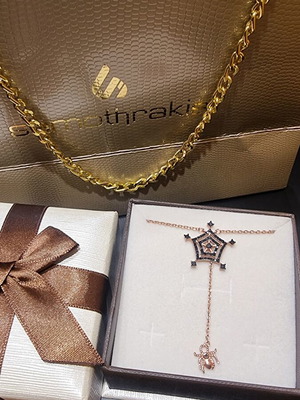 Silver 925 pendant spider web and spider, rose gold plated necklace