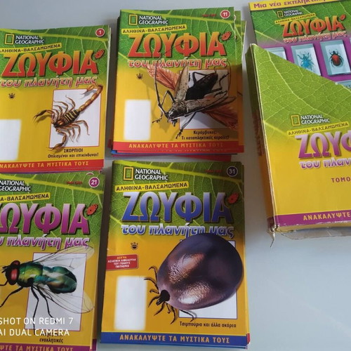 National Geographic collection with 47 preserved insects and arthropods, like new