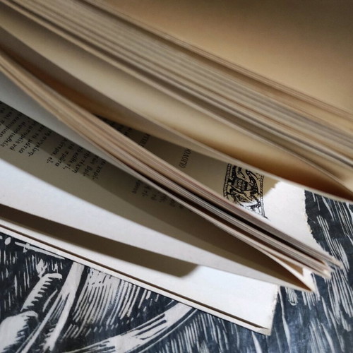 Kontoglou Introduction to Literature with Anthology Appendix like new