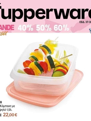 Compact container new
