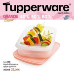 Compact container new
